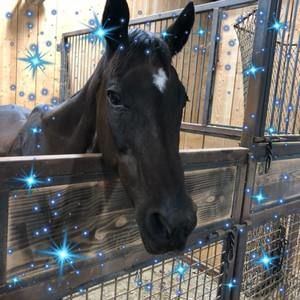 Meet your Posher, Dana